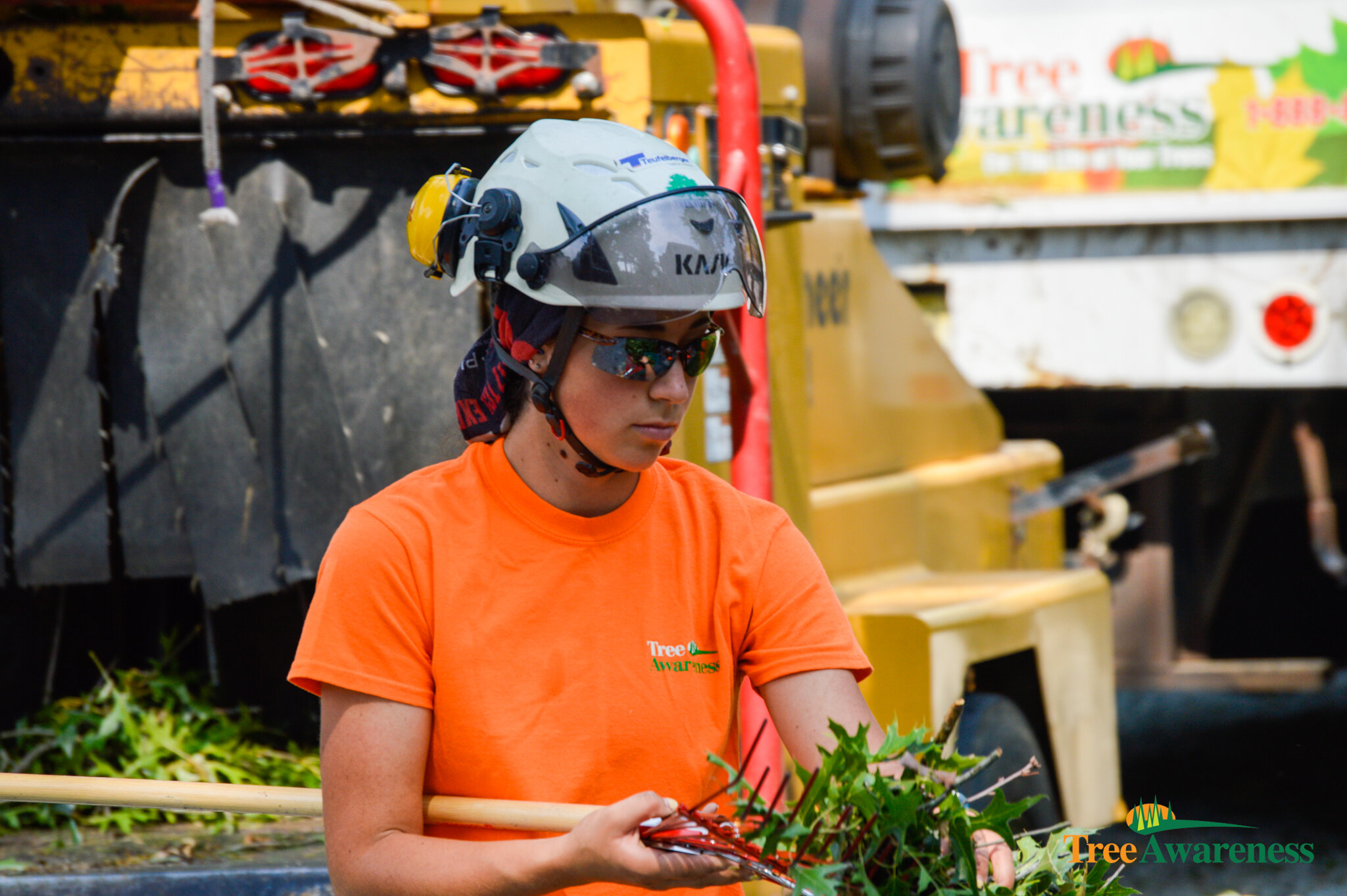 Madison Biester — Tree Awareness, Inc.